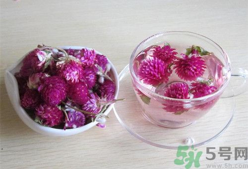 紅花茶是紅茶嗎?紅花茶和紅茶有什么區別