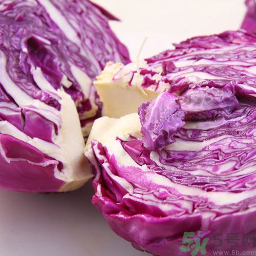 紫甘藍和包菜有什么區別?紫甘藍是包菜嗎? 紫甘藍和包菜有什么區別?紫甘藍是包菜嗎?