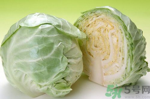 紫甘藍和包菜有什么區別?紫甘藍是包菜嗎? 紫甘藍和包菜有什么區別?紫甘藍是包菜嗎?