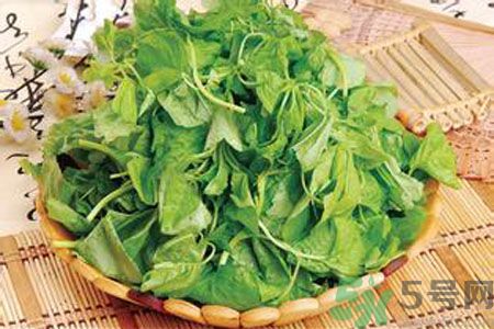 莧菜是發(fā)物嗎？莧菜是不是發(fā)物？