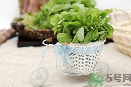 月經(jīng)期間可以吃漢菜嗎？來月經(jīng)可以吃漢菜嗎？