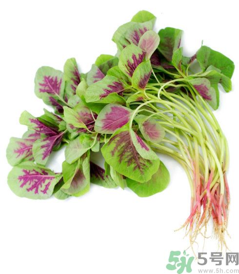 月經(jīng)期間可以吃漢菜嗎？來月經(jīng)可以吃漢菜嗎？