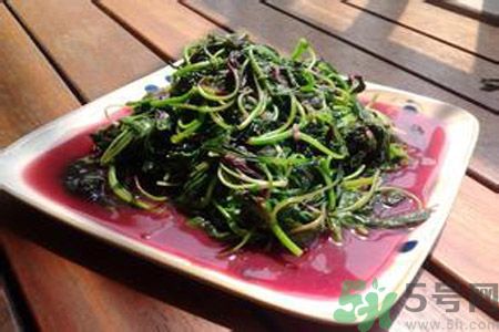 莧菜汁可以放多久？莧菜汁放多久會壞？