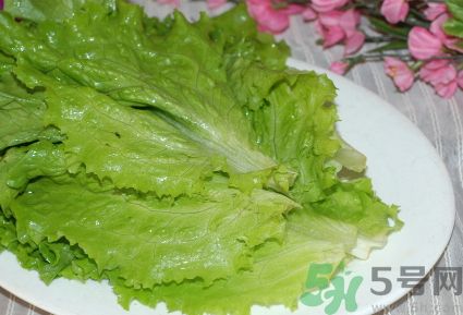 生菜是發物嗎?生菜是不是發物?