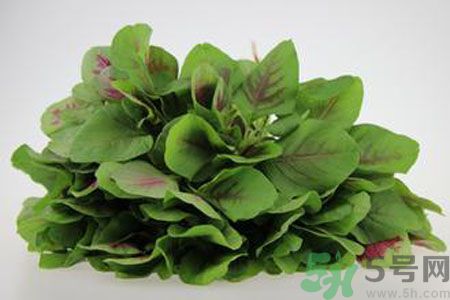 莧菜可以生吃嗎？莧菜生吃了會(huì)怎樣？