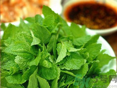薄荷有什么功效？薄荷的攻效是什么？