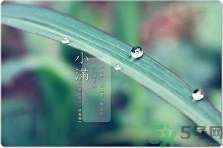 小滿容易得什么皮膚病？小滿得了皮膚病怎么辦？
