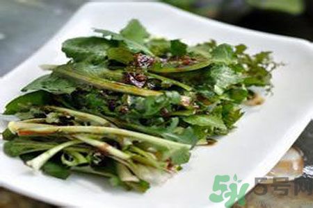 苦菜是酸性還是堿性？苦菜是堿性的嗎？