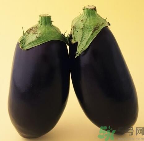 青皮茄子和紫皮茄子有什么區(qū)別？青皮茄子好還是紫皮茄子好？