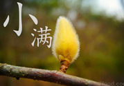 小滿名字的由來(lái)？小滿是什么意思？
