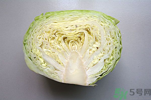 包菜能和魚一起吃嗎？魚可以和包菜一起吃嗎？