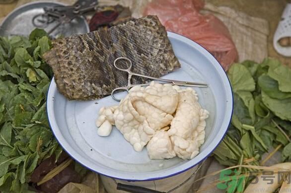 夏天吃蛇肉可以清火嗎？夏天吃蛇肉可以降火嗎？