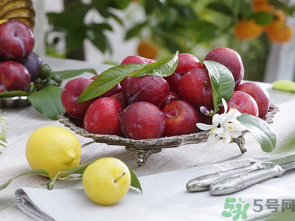 為什么說李子樹下埋死人？李子的食用禁忌有哪些？
