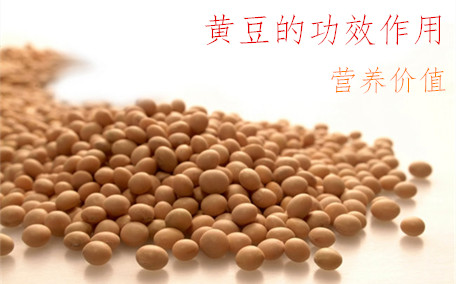 黃豆要泡多久 黃豆用冷水浸泡還是熱水浸泡