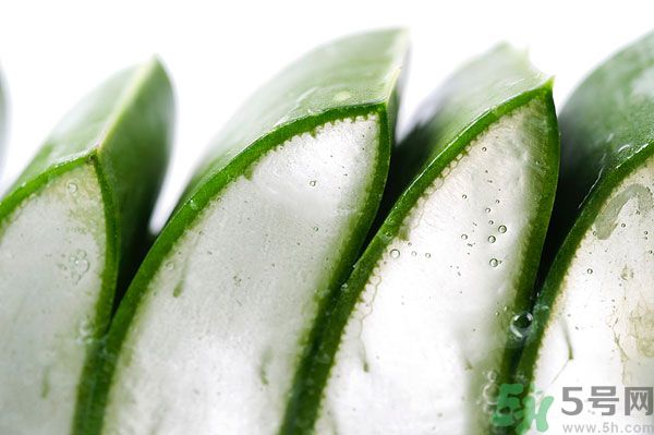 孕婦可以吃蘆薈嗎？孕婦吃蘆薈會(huì)怎樣？