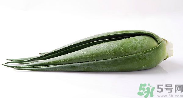 孕婦可以吃蘆薈嗎？孕婦吃蘆薈會(huì)怎樣？