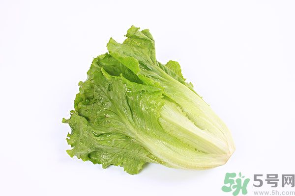 小孩可以吃生菜嗎？小孩吃生菜好嗎？