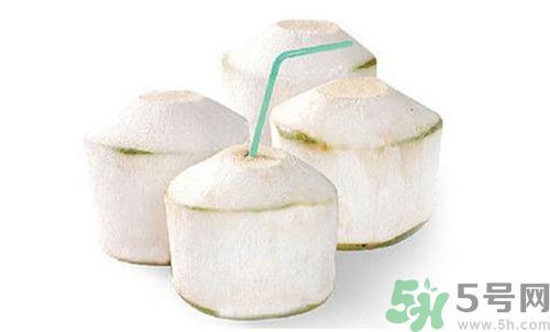 椰子和椰青是一樣嗎?椰子和椰青的區別