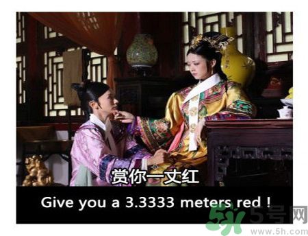 什么是蜀葵？蜀葵是一丈紅嗎？