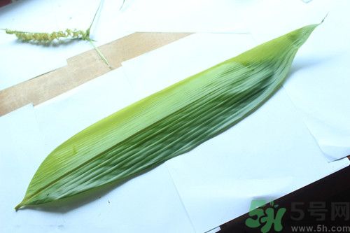 粽葉發霉了粽子還能吃嗎?粽葉發霉怎么辦