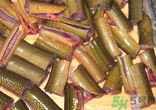 鱔魚可以和鯽魚一起吃嗎?鱔魚能和鯽魚同吃嗎? 鱔魚可以和鯽魚一起吃嗎?鱔魚能和鯽魚同吃嗎?