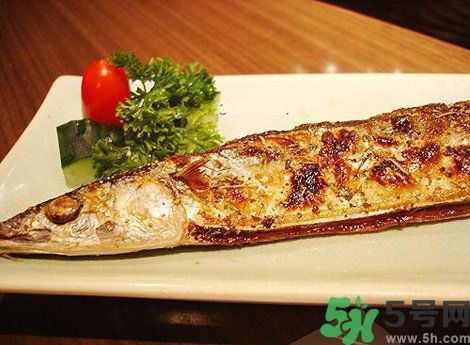 魚身上最有營養的地方是哪里？魚的功效與作用？