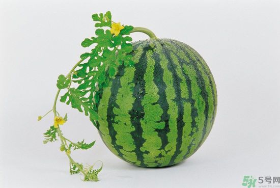 西瓜怎么挑熟的甜的？西瓜的儲(chǔ)存方法？