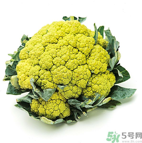 玉川和斯利安哪個好？葉酸片什么牌子最好？