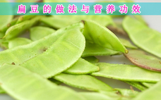 白蕓豆可以打豆漿喝嗎 白蕓豆打豆漿可以每天喝嗎