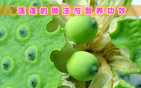 蓮蓬生長在水里嗎 蓮蓬一般什么季節成熟呢