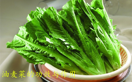油麥菜炒出來怎么是苦的 油麥菜怎么做好吃