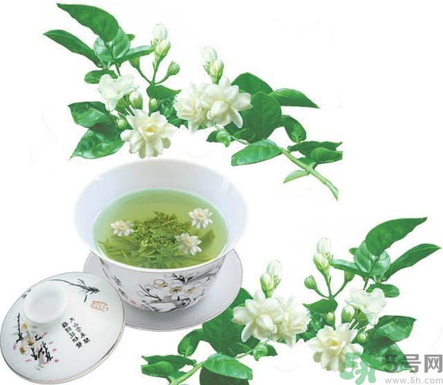 喝茉莉花茶會過敏嗎？喝茉莉花茶過敏了怎么辦？