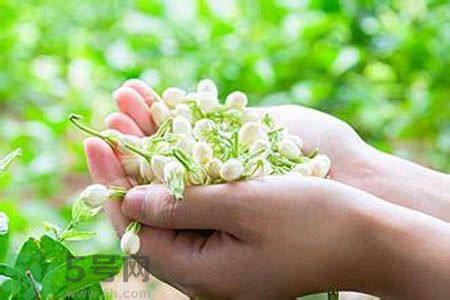 痛風可以喝茉莉花茶嗎？痛風喝茉莉花茶好嗎？