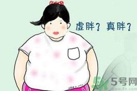 虛胖吃什么中藥？虛胖吃什么中藥有效？