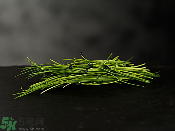 吃韭菜會燒心嗎？吃韭菜燒心怎么辦？