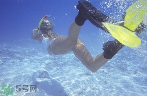 浮潛是什么意思？深潛和浮潛有什么區別？?