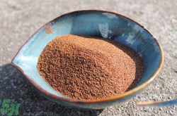 海藻面膜怎么調？海藻面膜的使用方法