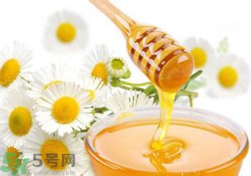 什么蜂蜜才是好蜂蜜？好壞蜂蜜的鑒別