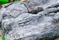 海帶發白還能吃嗎?海帶發白可以吃嗎?