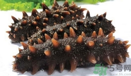 海參是發物嗎?海參是不是發物?