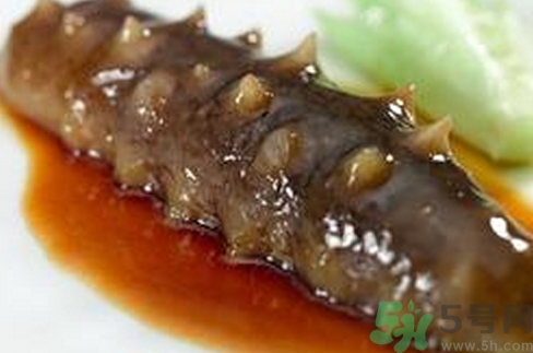 現殺海參怎么保存?活海參怎么保存?