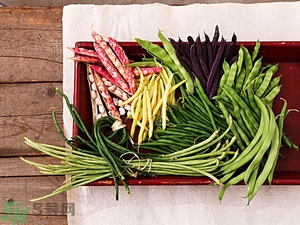 痛風(fēng)能吃豆角嗎？痛風(fēng)吃豆角行嗎？