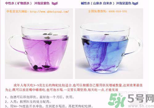 黑枸杞泡水是什么顏色？黑枸杞泡水是紫色的嗎？