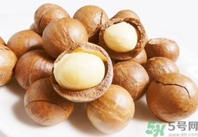 夏威夷果產地在哪里?夏威夷果和腰果哪個好