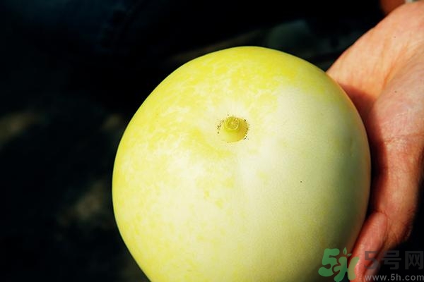 香瓜有酒味能吃嗎？香瓜有酒味吃了會怎樣？