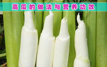 茭白有黑點能吃嗎?茭白為什么有黑點