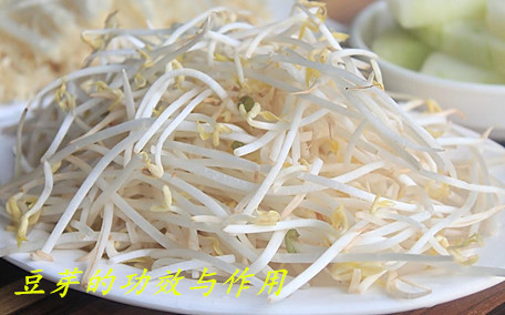豆芽是什么季節的菜 豆芽是用什么豆發出來的