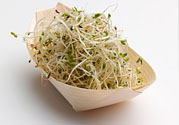 豆芽可以生吃嗎？豆芽炒粉條的家常做法
