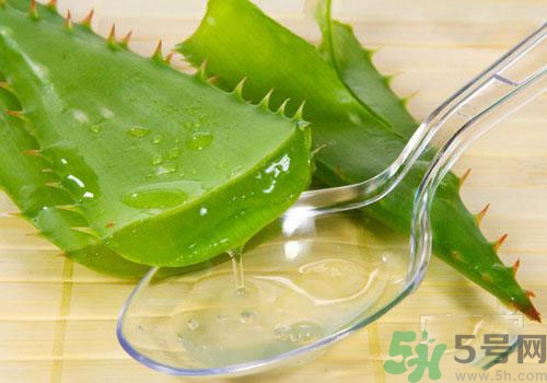 孕婦可以用蘆薈膠嗎？蘆薈膠孕婦可以用嗎？