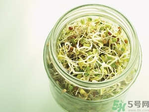 吃豆芽會(huì)胖嗎？豆芽會(huì)不會(huì)讓人長(zhǎng)胖？